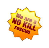 Mimi's Rescue
